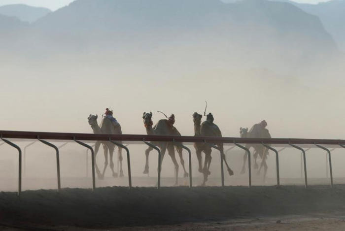 Đua lạc đà là môn thể thao khá phổ biến ở các nước có vùng sa mạc rộng lớn.