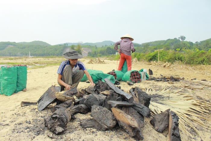 Tranh thủ thời tiết tạnh ráo, người dân bản Hội 3 ra suối gom gỗ, củi đốt lấy than bán để kiếm thêm thu nhập. Ảnh: Lương Nga