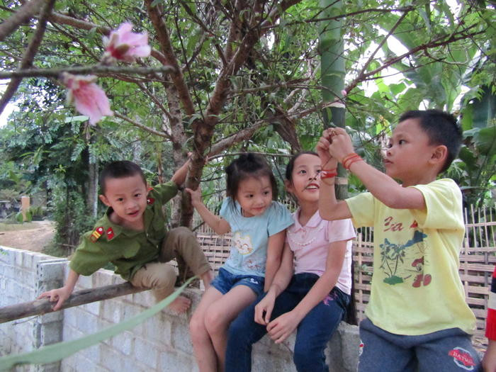 Trẻ em vui chơi bên những cây đào hoa nở rộ trái mùa. Ảnh: Bé Vinh