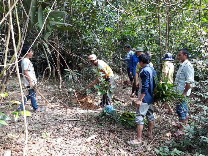 Nghe An lan dau tien trong sa nhan tim-hinh-anh-1