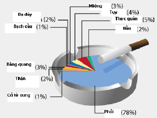 Tỷ lệ ung thư do hút thuốc. Ảnh: TL