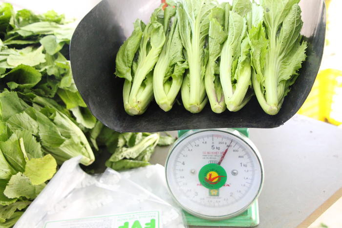 Mỗi bó rau được cân khoảng 0,5/ bó và bán với giá 10.000 đồng bó. Mùa này do sau mưa lụt nên hầu như lượng rau không đủ để cung ứng ra thị trưởng Hà Nội và Vinh.