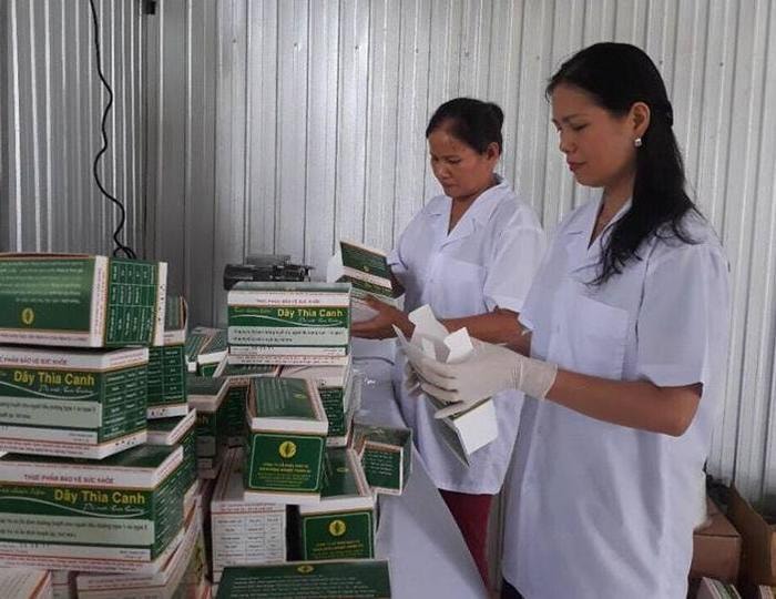 Đóng gói sản phẩm dược liệu ở huyện Con cuông.Ảnh:B. Hậu