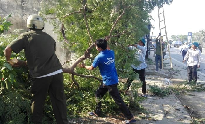 Lực lượng chức năng các địa phương hỗ trợ chặt tỉa cây xanh và di chuyển các vật dụng đặt lấn chiếm hành lang ATGT. Ảnh Lê Nhung