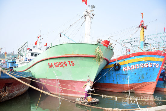  Những con tàu to máy lớn được ngư dân huyện Quỳnh Lưu đóng mới theo chính sách hỗ trợ của Nghị định 67/CP. Ảnh: Xuân Hoàng
