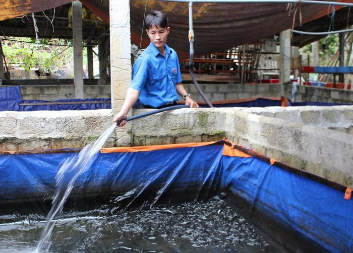 Mô hình nuôi lươn, ếch của đoàn viên Nguyễn Đình Hải ở xóm 9, xã Quỳnh Thắng (Quỳnh Lưu) mỗi năm cho thu lãi 200 triệu đồng. Ảnh: Hồng Diện