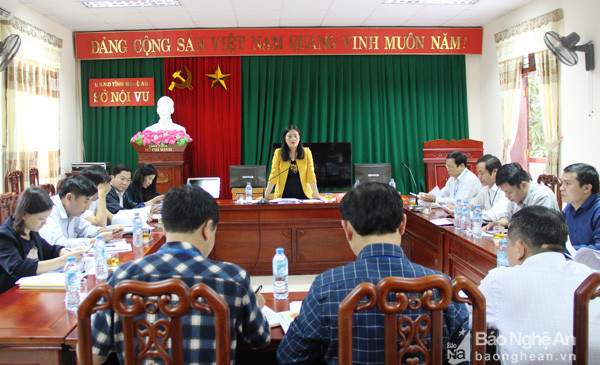 Bà Cao Thị Hiền - Ủy viên Ban Thường vụ Tỉnh ủy, Phó Chủ tịch HĐND tỉnh chủ trì cuộc làm việc.