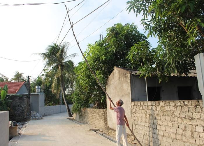 Người dân thôn 2 xã Quỳnh Hồng (Quỳnh Lưu) phải dùng cây tre chống đường dây điện. Ảnh: Thanh Toàn