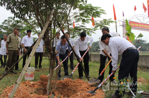 Trồng cây...