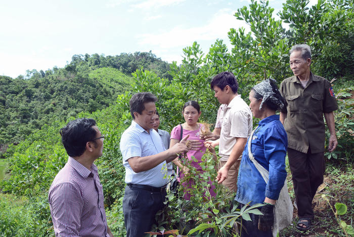Lãnh đạo huyện Quế Phong và bà con nông dân trao đổi về mô hình cây dược liệu ở xã Thông Thụ. Ảnh: Ngô Kiên