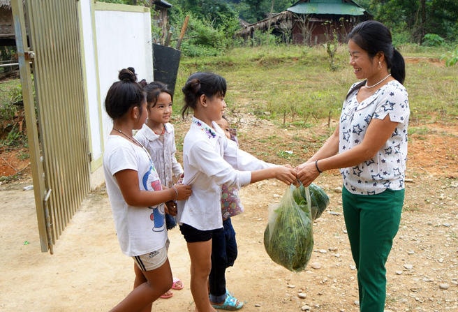 Rau rừng là món quà duy nhất các trò đem tặng cô nhân ngày nhà giáo 20/11.