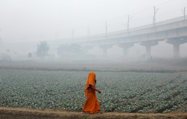 Một phụ nữ đi ngang qua cánh đồng trong một buổi sáng khói ở New Delhi, Ấn Độ ngày 13/11/2017. Ảnh: Reuters