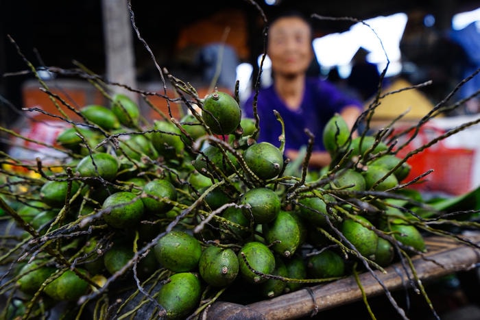 Và cau. Ảnh: Trung Hà