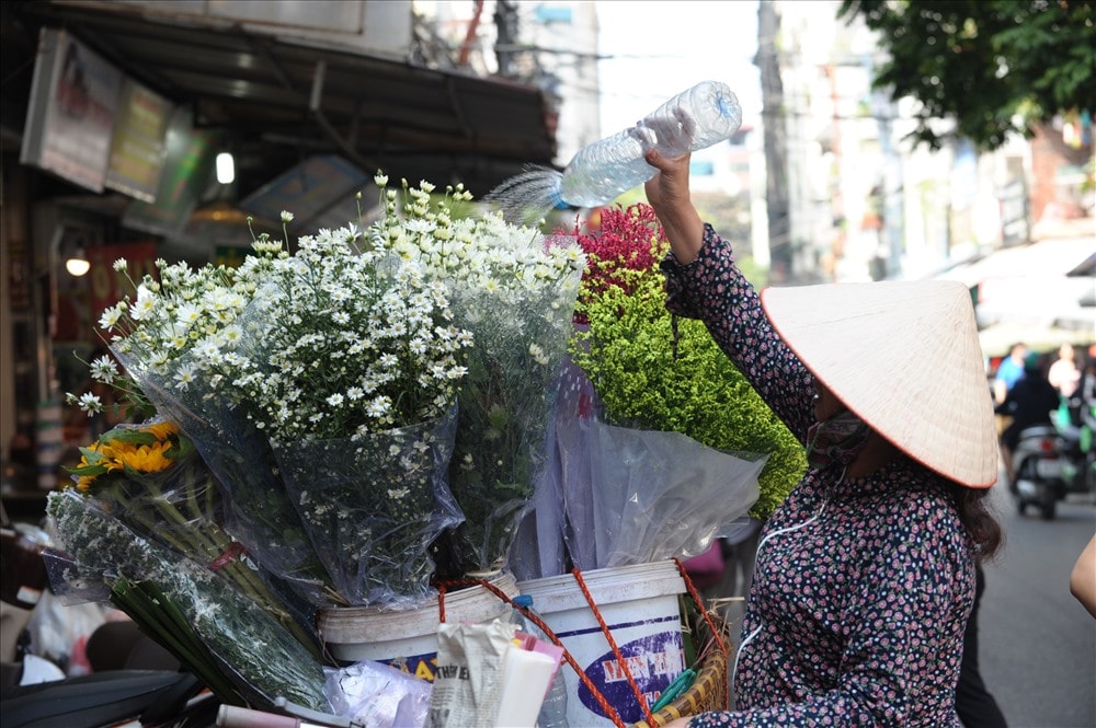 Hoa ngập tràn phố, ngập tràn những tiếng yêu thương của người Hà Nội. Ảnh: Trần Tuấn Anh