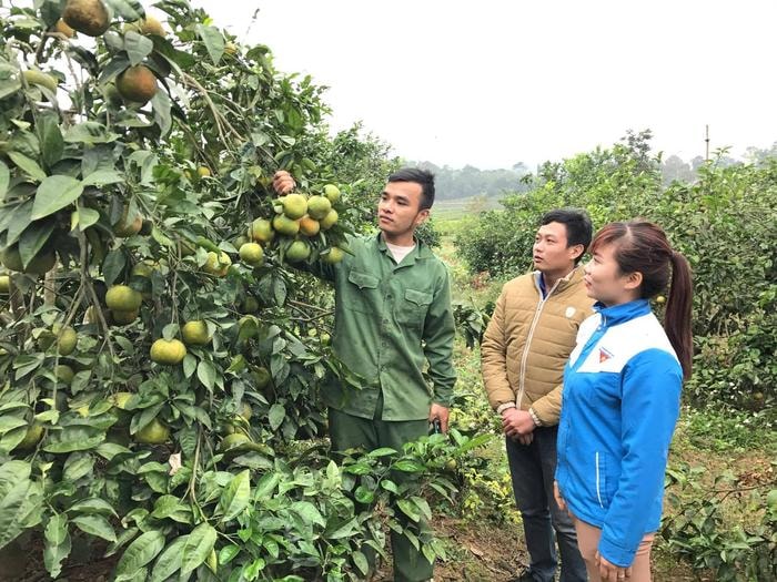 Những người trẻ ở huyện Nghĩa Đàn đang tiên phong trong việc chuyển giao  khoa học kỹ thuật, phát triển mô hình kinh tế. Ảnh: Minh Thái