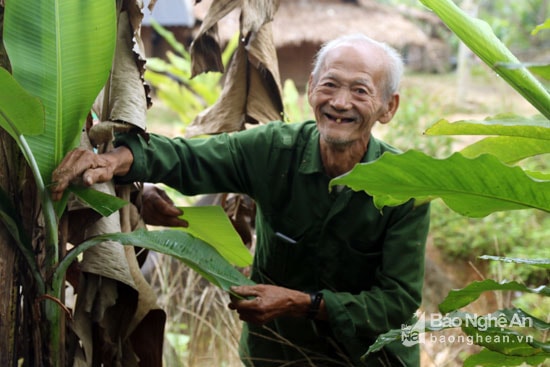 Những lúc rảnh rỗi người Mông thường ra sau nhà hái lá làm kèn. Ảnh: Đào Thọ