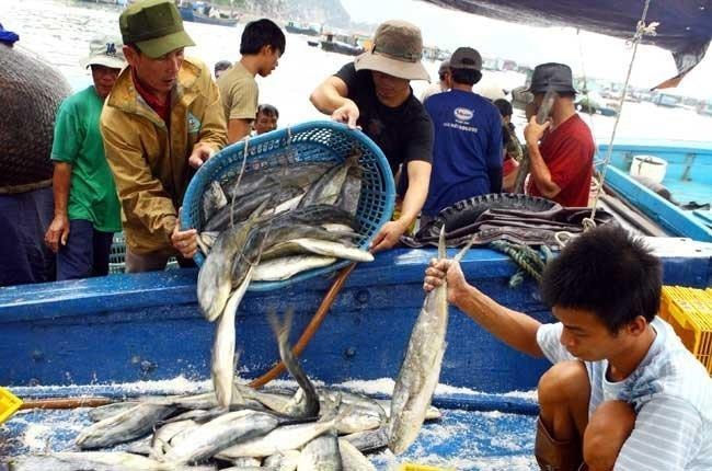 Nhà nước giao quyền quản lý cho tổ chức cộng đồng trong bảo vệ nguồn lợi thủy sản