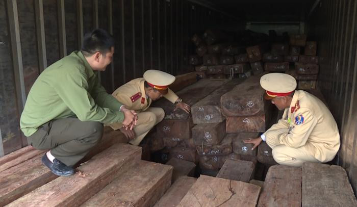 Gần 20m3 gỗ không rõ nguồn gốc được chở từ Quảng Trị ra Bắc Ninh tiêu thụ. Ảnh: Trọng Tuấn
