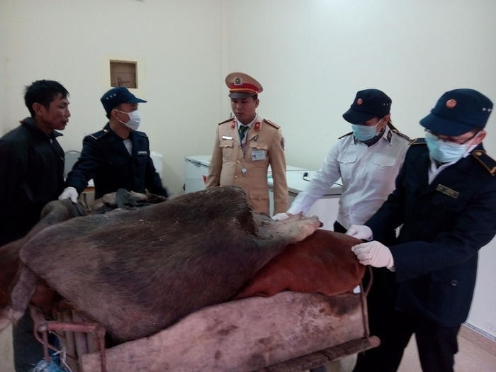400 kg da trâu bò được bàn giao cho Trạm Chăn nuôi - Thú y tiến hành tiêu  hủy. Ảnh: Mai Giang