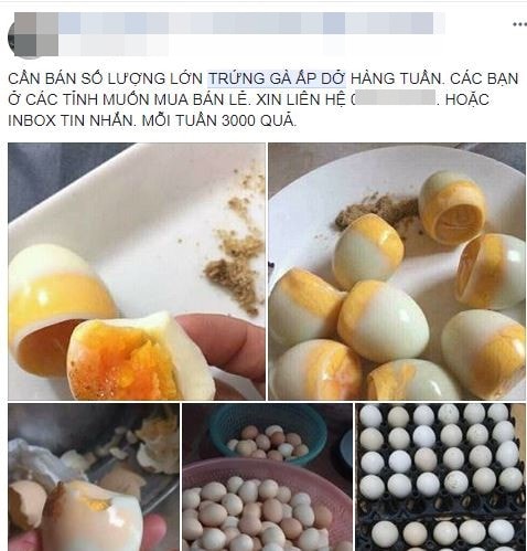 bat ngo ve trung ga ung - 