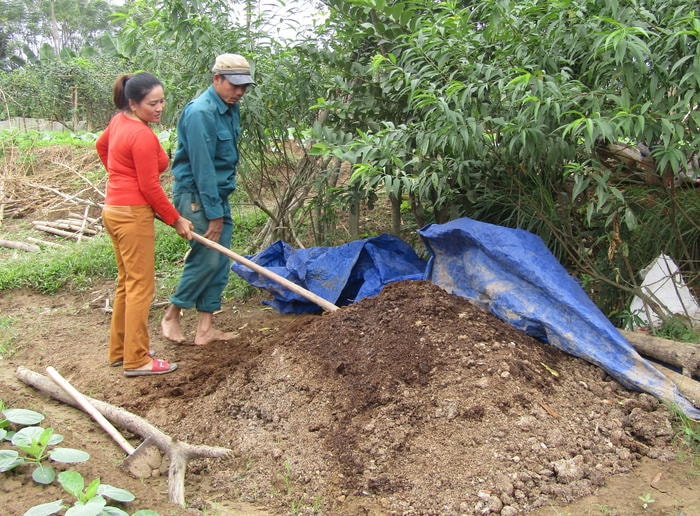 Hộ dân tham gia mô hình chủ yếu bón phân hữu cơ đã ủ hoai mục. Ảnh: Bé Vinh