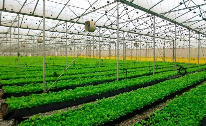 Nông nghiệp được khuyến khích chuyển hướng theo công nghệ cao