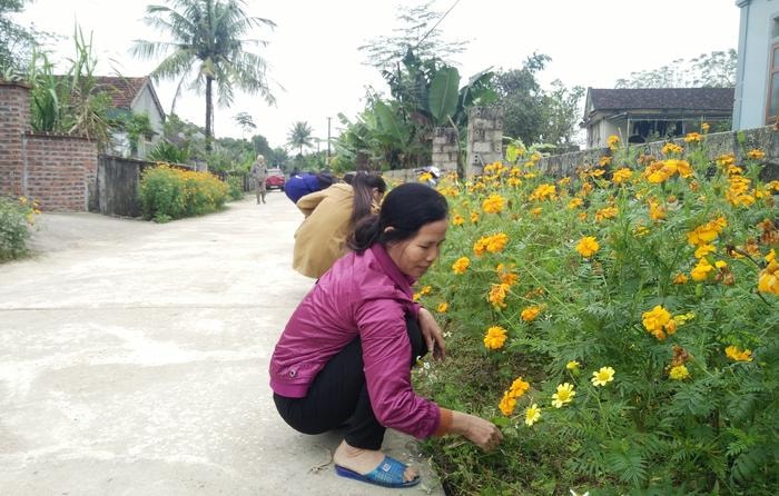 Cứ đến ngày cuối tuần, bà con trong thôn lại tập trung làm cỏ, trồng hoa và chăm để đảm bảo cây hoa luôn được xanh tốt. Ảnh: Thái Hiền