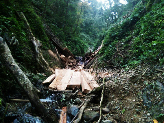 Số gỗ vô chủ được phát hiện tại mốc L10, khu vực giáp ranh biên giới Việt - Lào. Ảnh: P.V