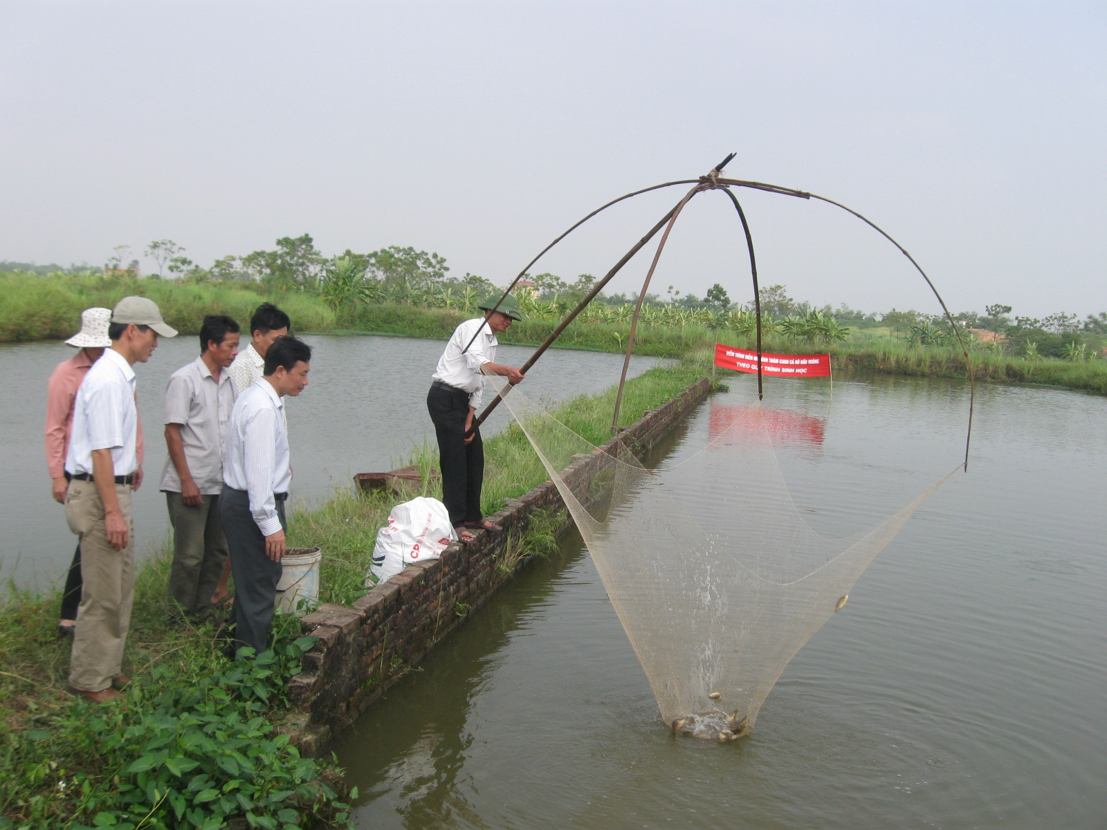 Lĩnh vực Nông lâm sản và Thủy sản dự kiến bãi bỏ 4 thủ tục - Ảnh: VGP/Đỗ Hương