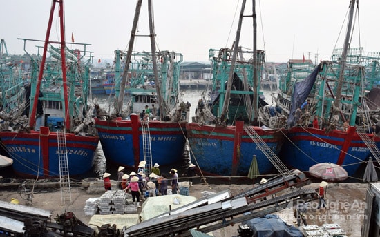  Ngư dân đầu tư đóng thuyền to máy lớn ngày càng nhiều đồng nghĩa với giá tri hải sản đánh bắt được cao hơn. Ảnh: Xuân Hoàng