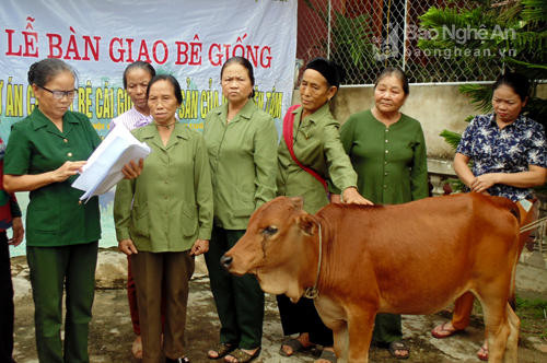 Với sự giúp đỡ của đồng đội, bà Lô Thị Chiến ở bản Tát, xã Chi Khê (Con Cuông) được nhận bê con trị giá 15 triệu đồng. Ảnh: Tường Vi