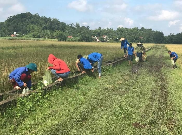 Đoàn viên thanh niên thu gom các bao bì thuốc BVTV. Ảnh: Minh Thái