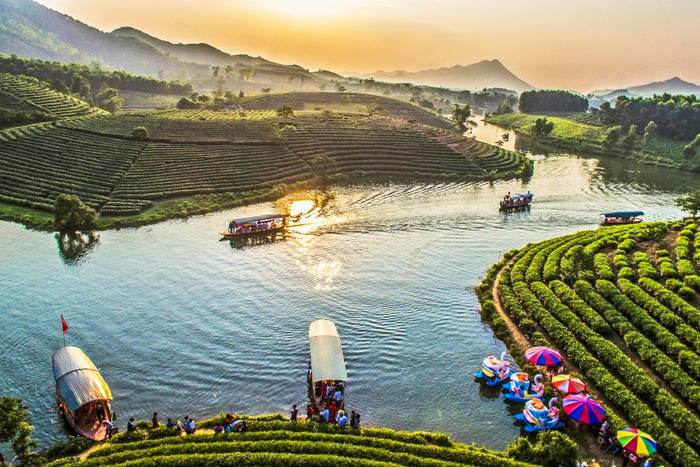 Đảo chè Thanh Chương trở thành điểm đến hấp dẫn một phần nhờ mạng xã hội. Ảnh: Lê Hùng
