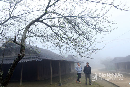 Sương mù bao phủ lên những ngôi nhà của người Mông ở thung lũng Mường Lống. Ảnh: Đào Thọ