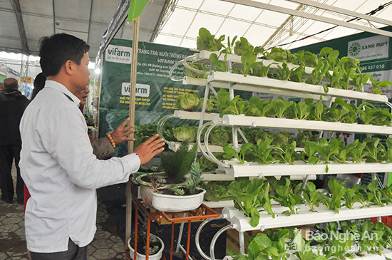 Nhiều giải pháp liên quan đến thực phẩm sạch, an toàn cũng như sản xuất nông nghiệp công nghệ cao sẽ được trưng bày và giới thiệu tại khu gian hàng xanh của hội chợ Công thương Bắc  trung bộ. Ảnh: Thu HUyền 