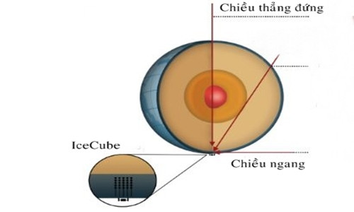Đường di chuyển của các hạt neutrino tới máy dò IceCube. Ảnh: Nature.
