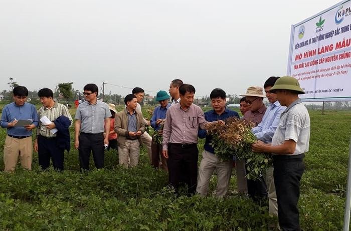 Các đại biểu tham quan mô hình sản xuất giống L14 cấp nguyên chủng tại xã Nghi Long, Nghi Lộc. Ảnh: Thu Hiền