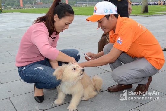 Người dân muốn nuôi chó phải đăng ký, khai báo với UBND cấp xã. Ảnh: Thanh Sơn