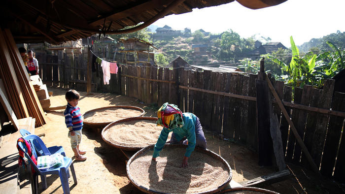 Do điều kiện kinh tế và địa hình đặc thù, người dân Nậm Tột không có sân gạch phơi nông sản và họ chỉ có thể phơi lúa trên những chiếc nống, chiếc bạt…