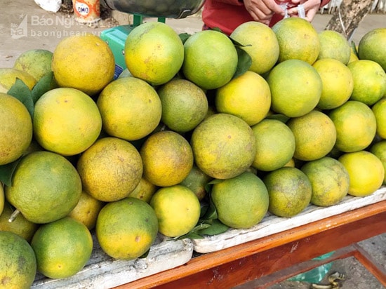 Cam Vinh đặc sản của Nghệ An