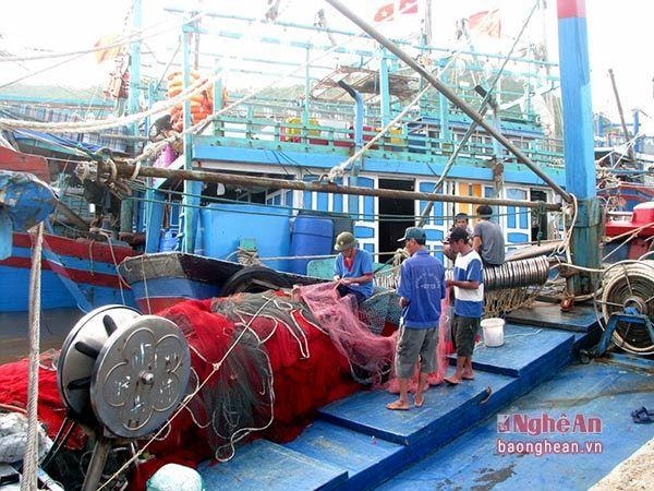 Ngư dân Quỳnh Lưu kiểm tra ngư lưới cụ và thuyền máy trước khi ra khơi đầu năm mới. Ảnh: tư liệu