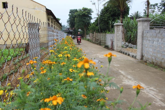 Về với bản Bãi Xa hôm nay chúng tôi không khỏi ngỡ ngàng trước những con đường đường bê tông trong bản đều đã và đang được trồng hoa và vệ sinh thường xuyên nên rất sạch sẽ tinh tươm. 