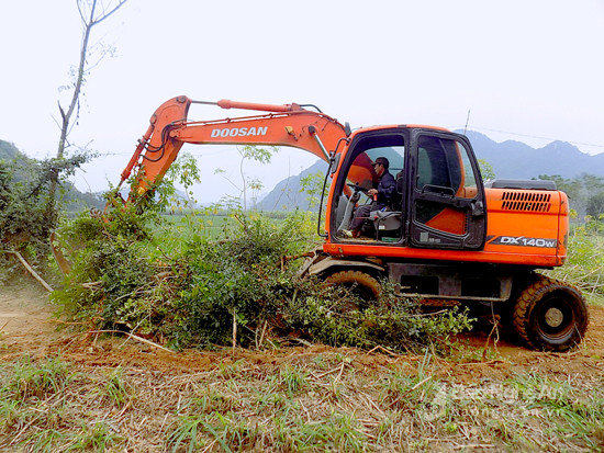 Máy xúc phá bỏ cây cối, san ủi mặt bằng làm đường GTNTM