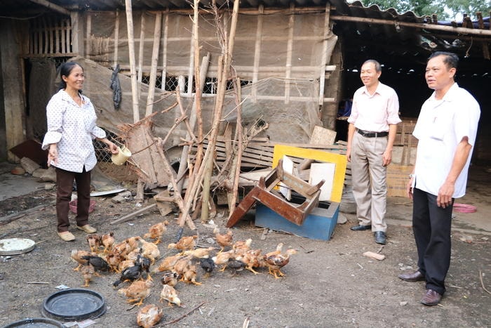 Cán bộ Hội Nông dân TP. Vinh và xã Hưng Chính kiểm tra đàn gà úm giống của chị Võ Thị Hải. Ảnh: Hà Linh