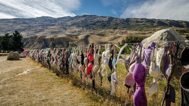 1. Nổi tiếng nhất và cũng là nơi dẫn đầu phong trào vắt rác lên hàng rào là Cardrona Bra ở trung tâm Otago, được hình thành khi bốn cô gái ăn mừng Giáng sinh bằng cách cởi nội y, treo lên hàng rào vào năm 1999. Sau đó nhiều phụ nữ bắt chước theo khiến số lượng áo ngực ngày càng tăng, phủ kín cả dãy hàng rào dài ngoằng - Ảnh: Kathrin & Stefan Marks/Flickr
