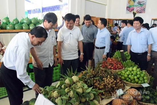 Sản phẩm của các HTX Nghệ An. 