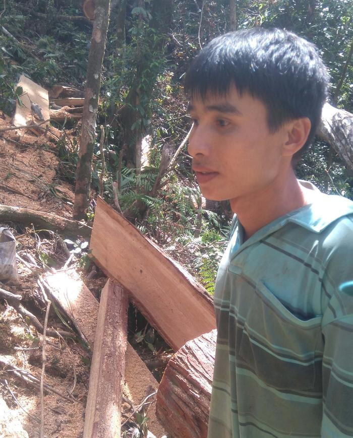 Một đối tượng trong vụ đốn hạ 13 cây pơ mu thuộc Khu BTTN Pù Huống. Ảnh: Nhật Lân
