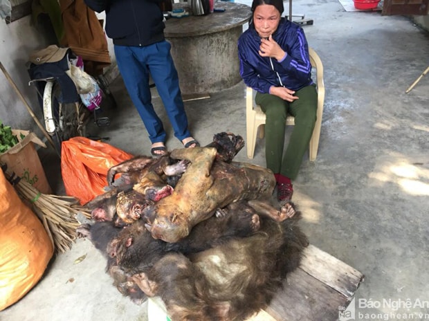Bà Minh cùng tang vật là 7 con khỉ đã chết khi bị bắt giữ. Ảnh. Tiến Hùng.