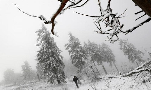 Khu rừng “đóng băng” trong trận tuyết rơi đầu mùa trên núi Feldberg gần Frankfurt, Đức. Ảnh: Reuters.