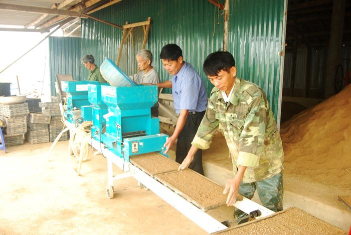 HTX Thanh Liên đang thử ươm giống để chuẩn bị làm mạ khay phục vụ sản xuất 2018. Ảnh: Hữu Thịnh